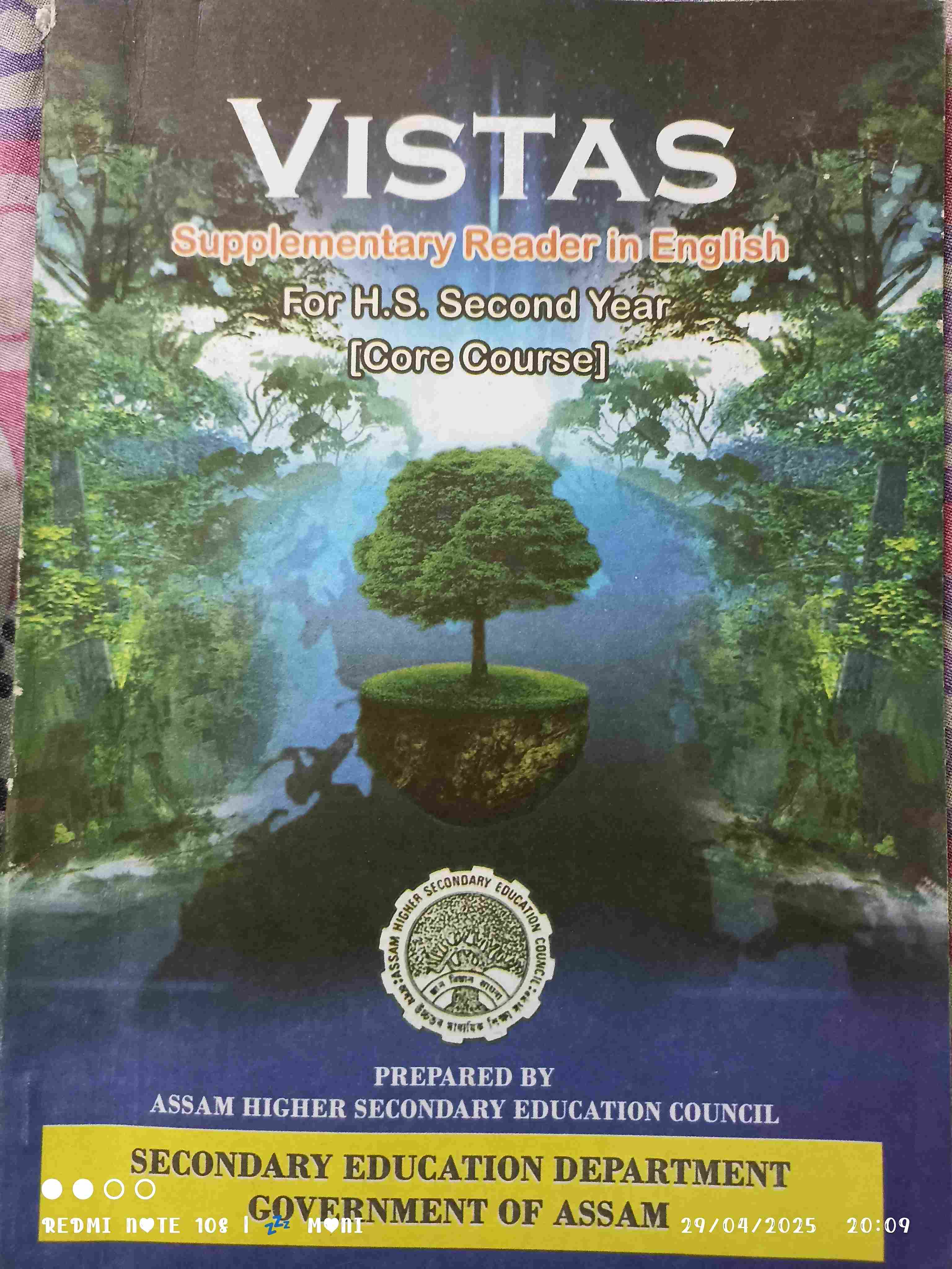 Vistas Class 12. English 