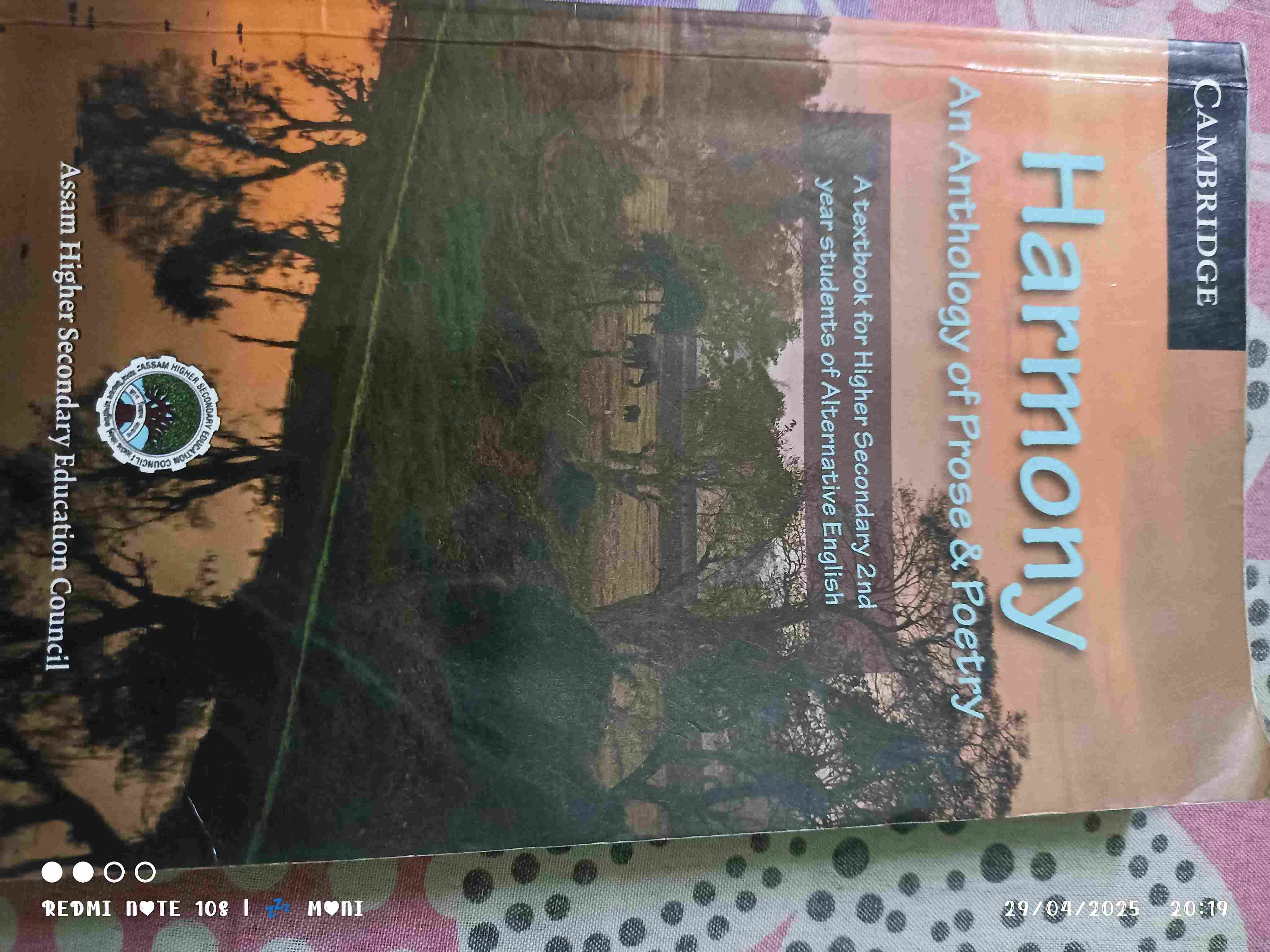 Harmony Hs second year Alternative English 